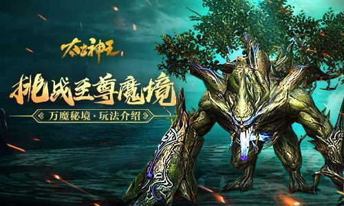 植物大战僵尸13